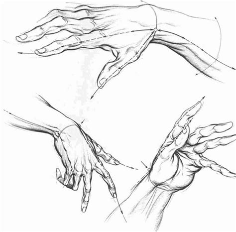 Proportions And Measurements Drawing Hands Joshua Nava Arts