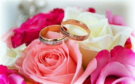Sweet cute romantic love couple photo wallpaper pictures. rings, Love, Roses, Flowers, Pink, Red, White, Forever ...