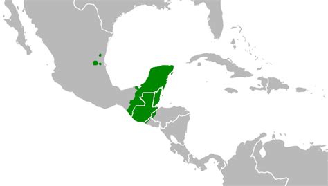 Mayan Languages Wiki