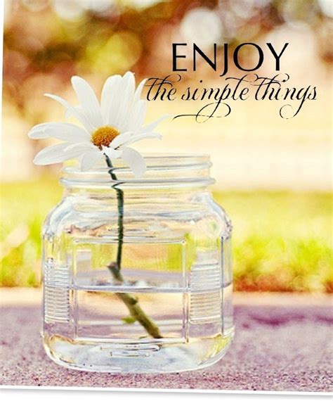 Simple Things In Life Quotes Quotesgram