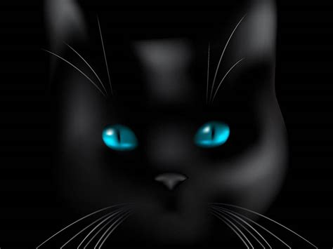 Wallpapers Black Cat Blue Eyes