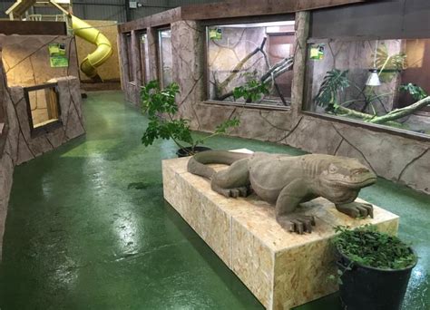 The National Reptile Zoo In Kilkenny Is Asking For Support To Help Feed