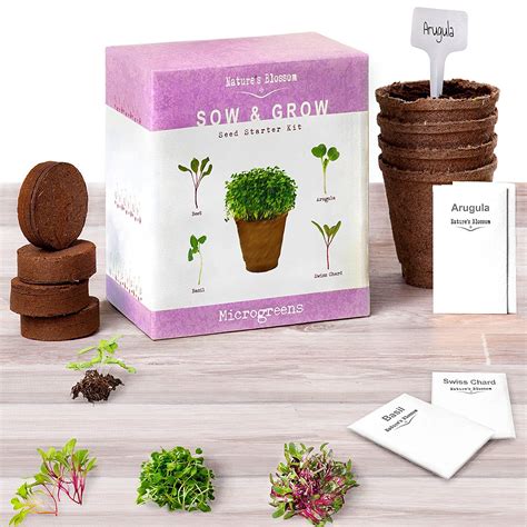 Microgreens Kit Grow 4 Types Of Micro Greens From Seed Microgreens