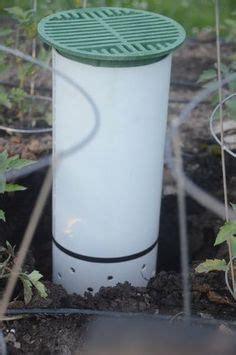 The pipe contains a bunch of compost worms, and you. Easy DIY Worm Tube or Worm Tower | Worm farm diy, Worm ...