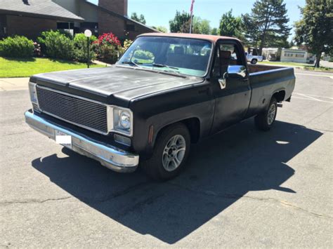 1976 Chevrolet Scottsdale C10 Truck Customized For Sale Photos
