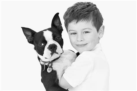 Pet Photography Brisbane - Katrina Christ Photographer