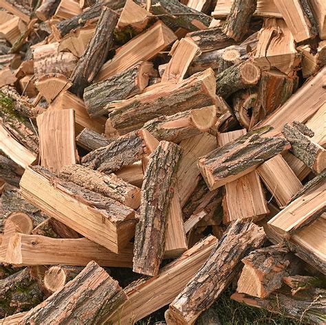 The Importance Of Burning Seasoned Wood In Your Fireplace
