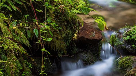 Wallpaper Rocks Moss Waterfall Stream Nature Hd Picture Image