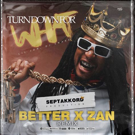 Lil Jon Dj Snake Turn Down For What Better X Zan Radio Edit Dj