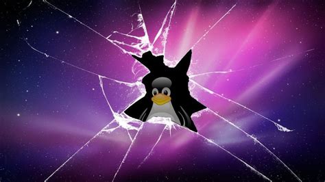 Find the largest collection of 520000+ background images on pngtree. Funny Backgrounds For Computers - Wallpaper Cave