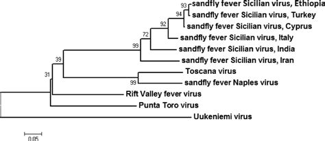 An Outbreak Of Acute Febrile Illness Caused By Sandfly Fever Sicilian Virus In The Afar Region