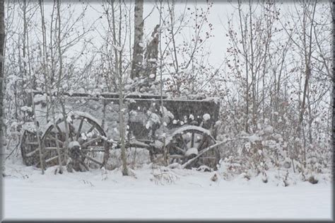 Snowy Old Wagon Marilylle Soveran Flickr