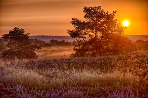Ein traumhaft schöner Morgen Foto & Bild | landschaft, jahreszeiten ...