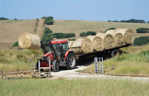 Hay Bale Tractor Stock Photos Pictures And Royalty Free Images Istock