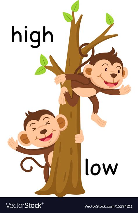 Opposite Words High And Low Royalty Free Vector Image
