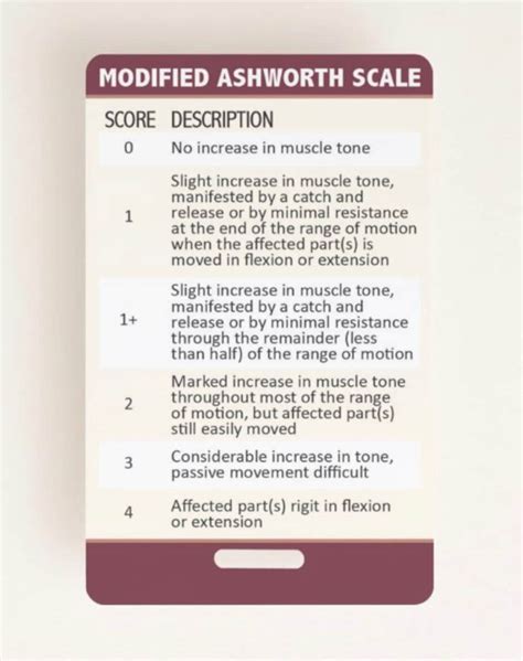 Modified Ashworth And Asia Impairment Scales Quick Guide Etsy