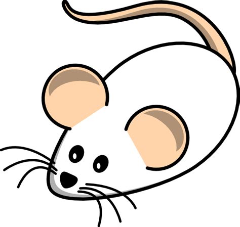 Field Mouse White Clip Art At Vector Clip Art Online