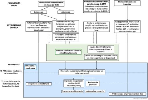 Documento De Consenso De Manejo De Neutropenia Febril En El Paciente