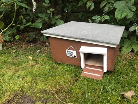 Deluxe Hedgehog House Etsy