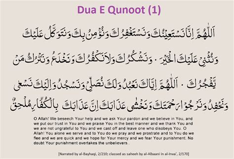 Dua E Qunoot 1 Duas Revival Mercy Of Allah