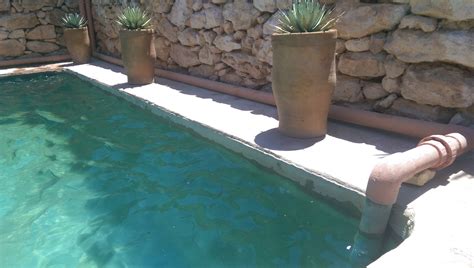 Top Tips For Building An Affordable DIY Natural Pool