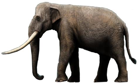 Neopangean Straight Tusked Elephant Liera Speculative Evolution
