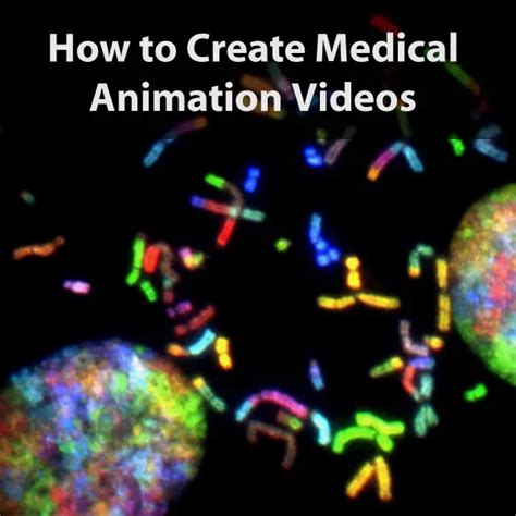 How To Create Medical Animation Videos In 8 Steps