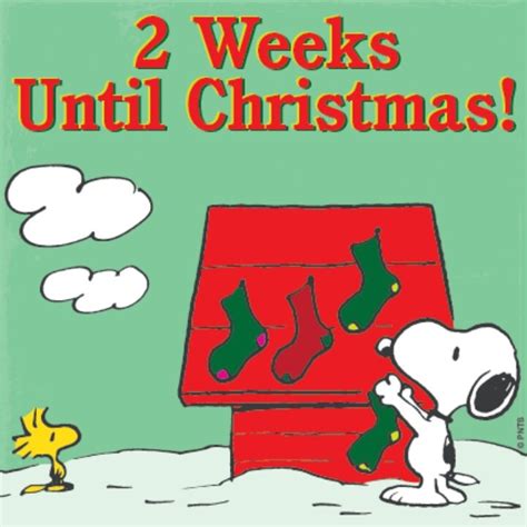 Xmas Charlie Brown Quotes Holiday Countdown Holiday Morning Peanuts