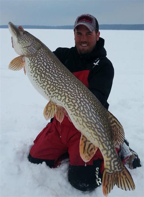 Finding Big Wi Pike Through The Ice February Magazine In Depth Outdoors