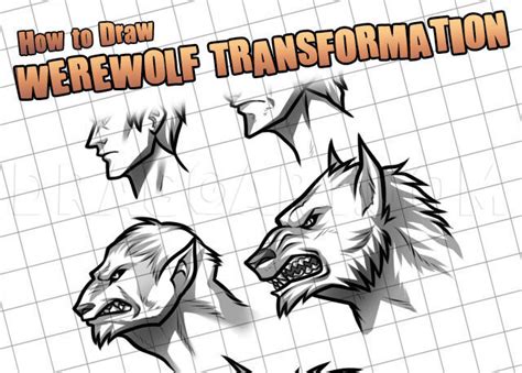 How To Draw Werewolf Transformations Step By Step Drawing Guide By