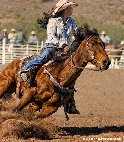 Pro Rodeo Barrel Racing Rodeo Cowboys Rodeo Horses Barrel Racing