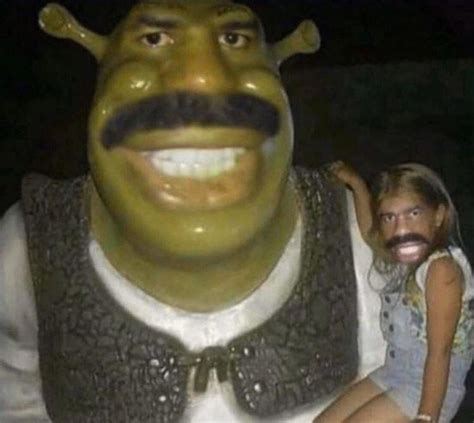 Donkey Smiling Shrek Meme Funny Shrek Memes For True Ogres And