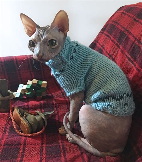 kitten-clothes-sphynx-sweater-sphynx-cat-clothes-cat-warm-sweater-cat-warm-clothes-cat-clothes