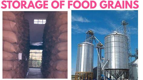 Has grown to become one of the leading manufacturers of plastic containers in india. Storage of food grains class 8 | storage of food grains in ...