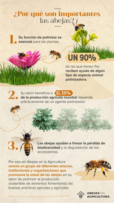 ¿por qué son importantes las abejas abejas en agricultura