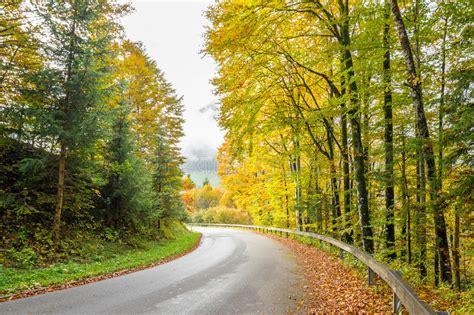 Road Through Autumn Forest Stock Image Image Of Autumn 73823041
