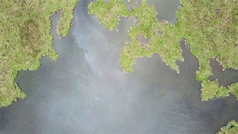 Louisiana Marsh Aerial Footage Youtube