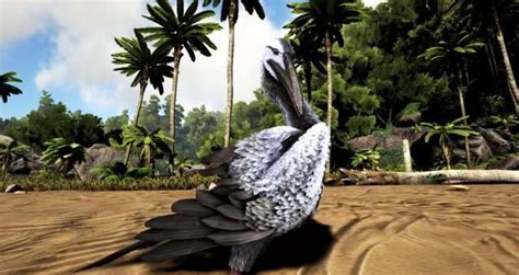 Ark Survival Evolved The Ichthyornis Everything You Want To Know