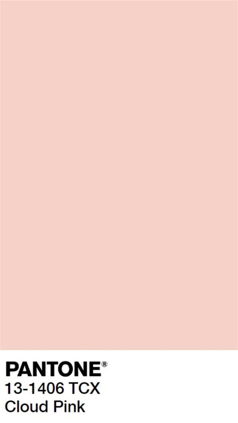 Pink Pantone Pantone Pantone Palette Color Inspo