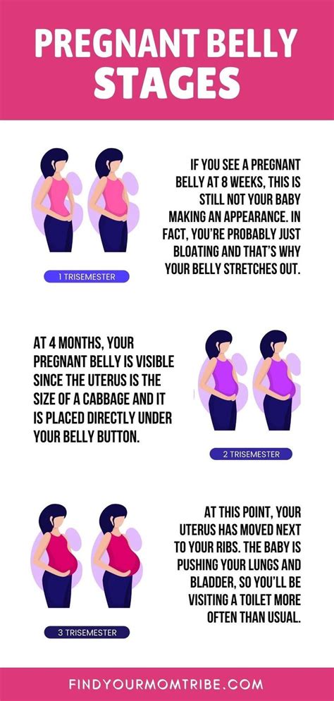 A Guide Through The Size Shape And Stages Of Your Pregnant Belly In