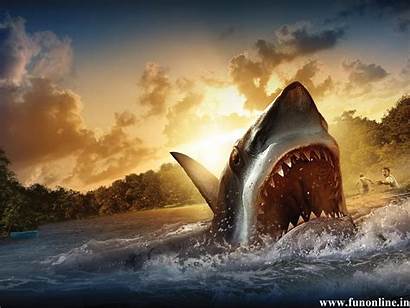 Shark Sharks Moving Wallpapers Deadly Wallpapersafari