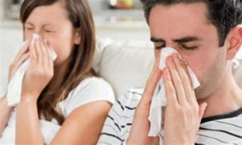 การเยียวยาที่บ้านเพื่อกำจัดหวัดและไอ จะทำอย่างไรเมื่อคุณมีอาการหวัด ...