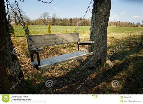 Hanging a porch swing is easier than it might seem: Comfortable Swing Bench Between Two Trees Stock Image ...