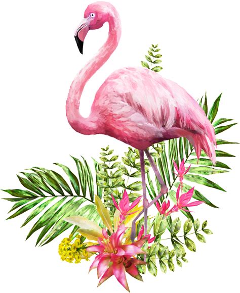 Download Flamingo Png Transparent Standing In Flowers And Grass