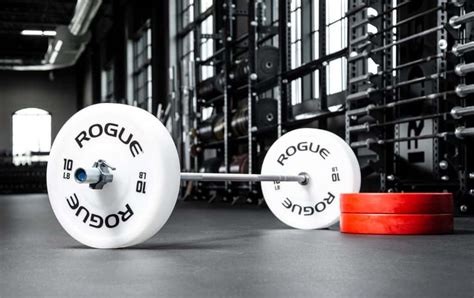 Garage Gym The Olympic Weight Plates Fit At Midlife