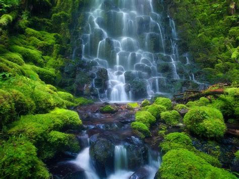 cascade waterfall sensoria rain forest costa rica mexico