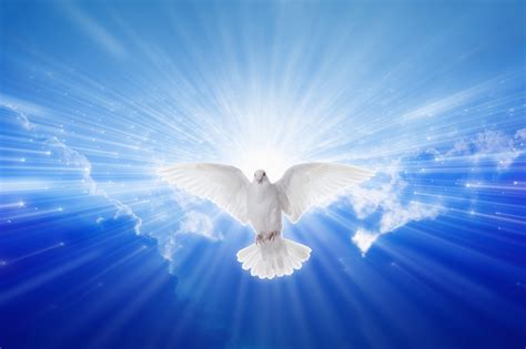 Pentecost is one of the prominent feasts in the christian liturgical year, celebrated the fiftieth day after easter sunday. THE DAY OF PENTECOST The True Water of Life - Sunday ...