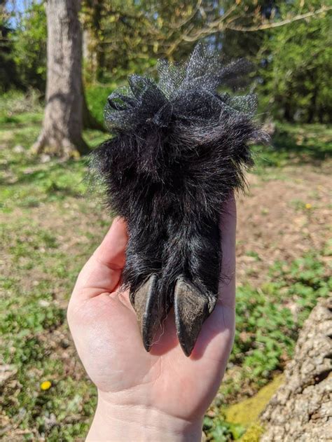 Alpaca Hoof Freeze Dried Front Foot Black Etsy