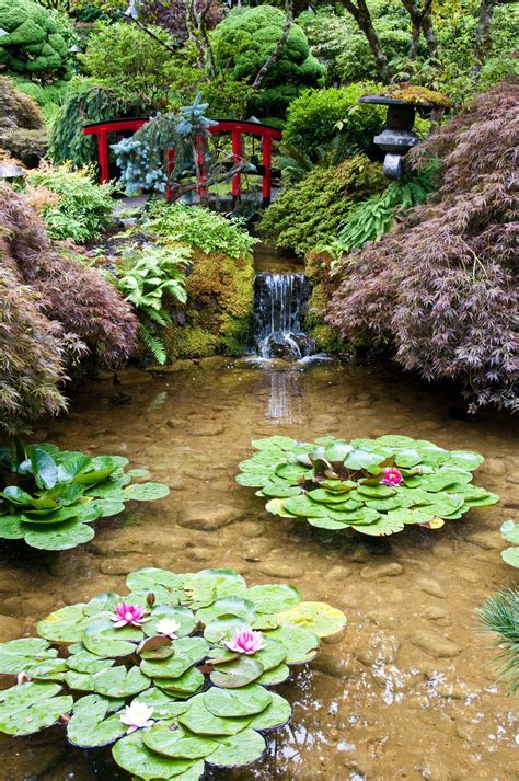 Japanese Water Garden Design
