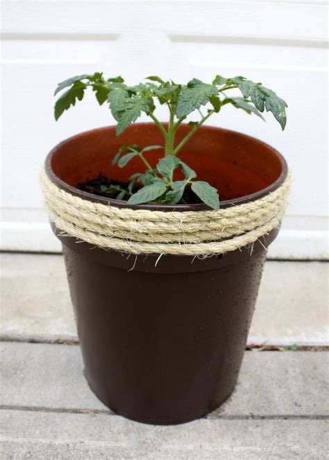 How To Make A Planter From A 5 Gallon Bucket Bucket Planters Diy